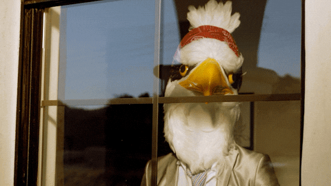 Fox GIF by The Masked Singer