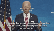 Joe Biden GIF by Election 2020