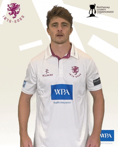 Ball Bat GIF by Somerset County Cricket Club
