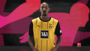 Surprised Borussia Dortmund GIF by Bundesliga