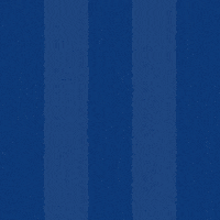Football Scoring GIF by Odense Boldklub
