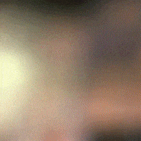 giffest weconvey by Noise x GIF Fest