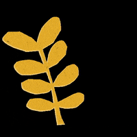 Studiocooliejoelie studiocooliejoelie GIF