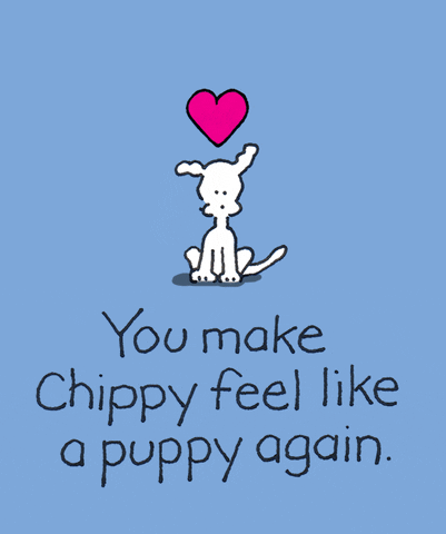 chippythedog giphyupload chippythedog GIF