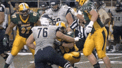 north dakota state football GIF by NDSU Athletics