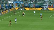 euro 2016 ireland GIF by Sporza