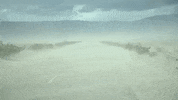 california GIF