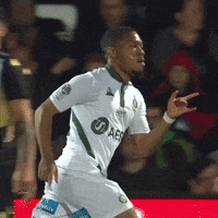 ASSEofficiel football soccer celebration goal GIF