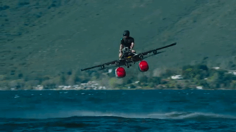 GIF by The Telegraph