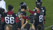 Soehner Headbutt Cyclones GIF by CyclonesTV