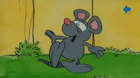 Cat Animation GIF by Mola TV Kids