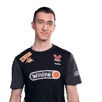 Counter-Strike Something Sticker by Virtus.pro