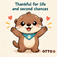 New Beginnings Love GIF by Otto the Otter by GleeSpace