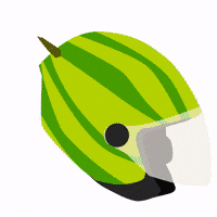 sssilvy_b motorcycle helmet watermelon coccomero GIF