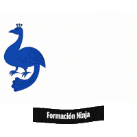 Flag Spain Sticker by Formación Ninja