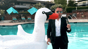Pimp GIF by Potomac Fund Management