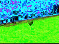 MFDtheArtist dog trippy weird animal GIF