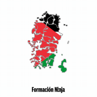 Flag Bandera GIF by Formación Ninja
