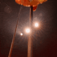 Surprise Circuslife GIF by Cirque du Soleil