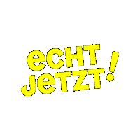 Visitlinz Echtjetzt Sticker by oberoesterreich