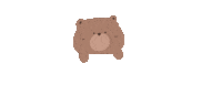 Illustration Bear Sticker