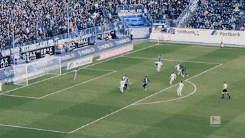 Ivory Coast Wow GIF by Bundesliga
