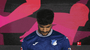 Tsg Hoffenheim Football GIF by Bundesliga