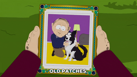 dog picture GIF by South Park 