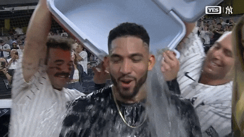 Celebrate New York Yankees GIF by MLB