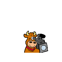 Camera Cow Sticker by Bauernhofurlaub.de