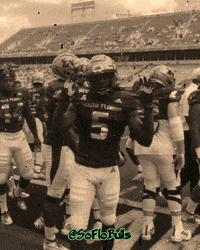 SoFloBulls usf usf bulls usf football soflobulls GIF