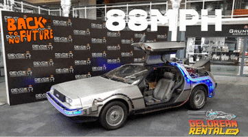 deloreanrental back to the future bttf marty mcfly delorean GIF