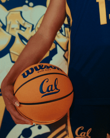 Cal GIF by CALWBB
