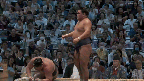TZ85 giphyupload sumo 2023 nagoya basho hoshoryu GIF