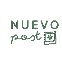 PleiaLife stars pets estrellas petloss Sticker