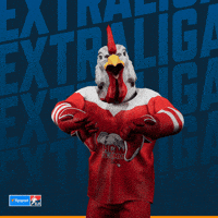 Hockey Hokej GIF by Tipsport extraliga