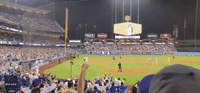 Goose Leads Dodger Stadium Staff on a Wild Chase