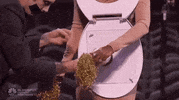 agt GIF by America's Got Talent