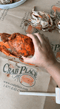Seafood Crabs GIF by The Crab Place