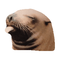 tongue GIF by imoji