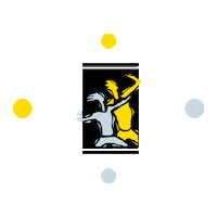 Sandenlogo Sticker by Sanden Treningssenter