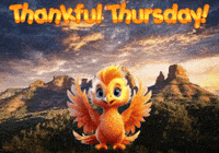 Phoenix Expressions GIF