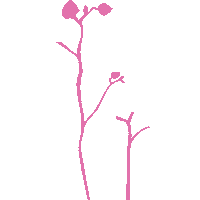 Makeup Flowers Sticker by Morphe