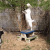 failure GIF