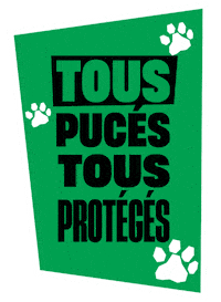 Cat Dog Sticker by Fichier National I-CAD