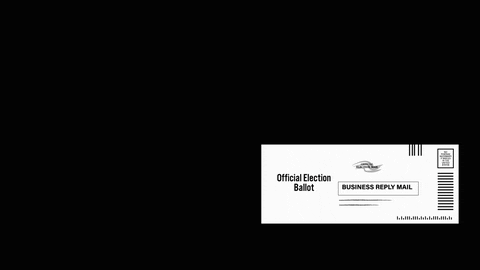 hilary-schenker giphyupload pennsylvania election2020 nonakedballots GIF