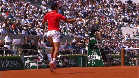 novak djokovic tennis GIF by Roland-Garros