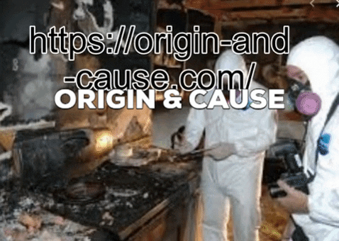 sdsfds giphygifmaker origin cause GIF