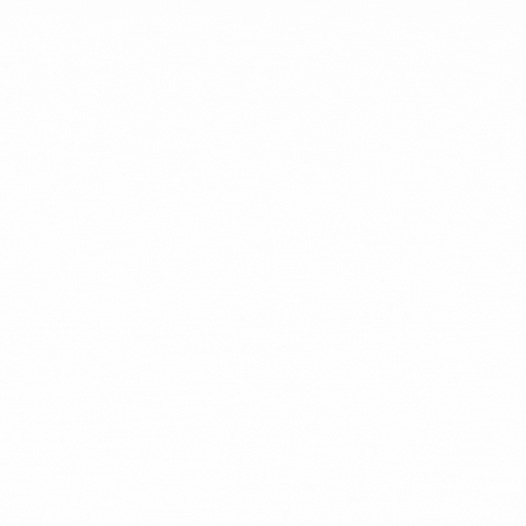 maxraytr paint spray automotive cleaner GIF