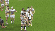 celebration GIF by Worcester Warriors